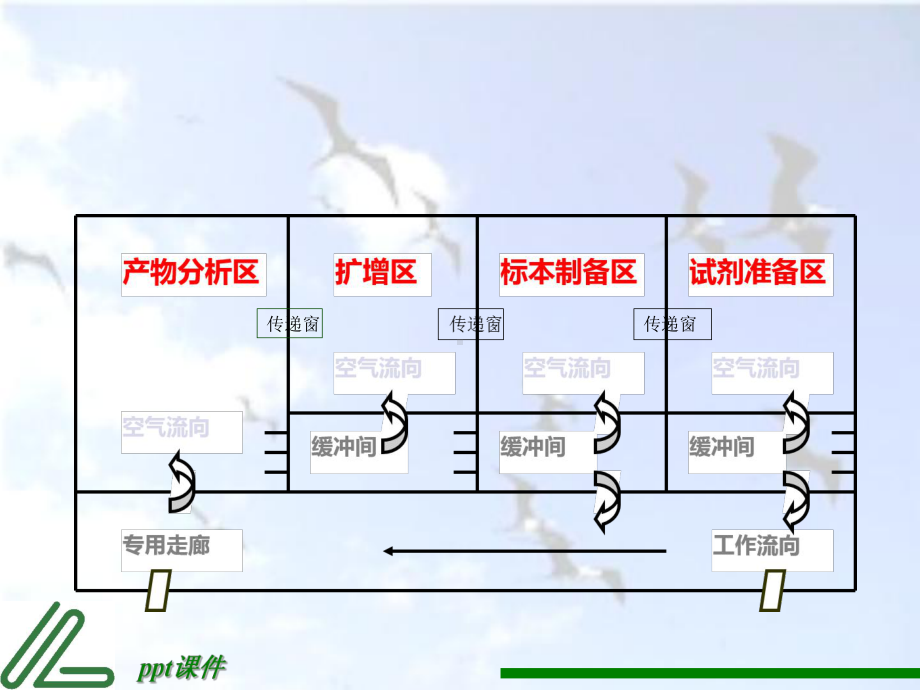 PCR检验质量控制课件.ppt_第3页