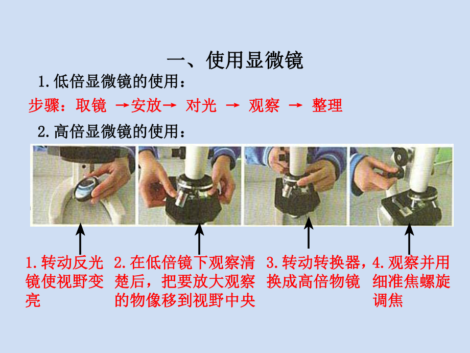 《细胞的多样性与统一性》课件3.ppt_第2页