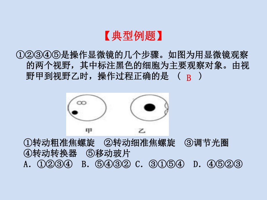 《细胞的多样性与统一性》课件3.ppt_第3页