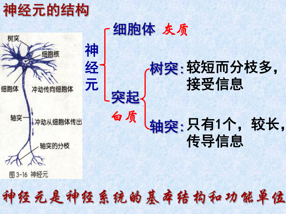 “植物人”脑干功能是正常的课件.ppt_第3页