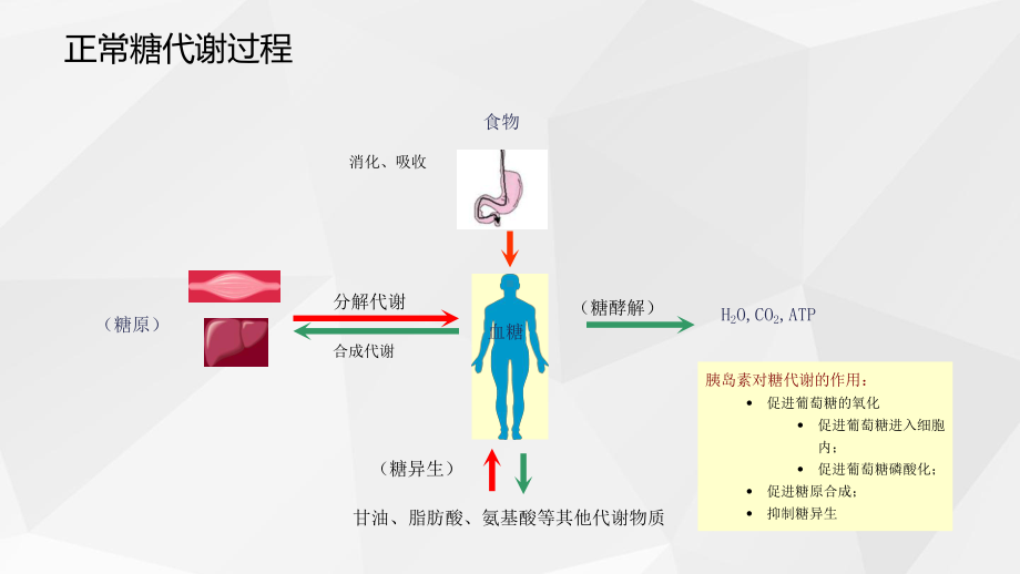 SGLT2抑制剂的作用机制及临床应用教学内容课件.ppt_第3页