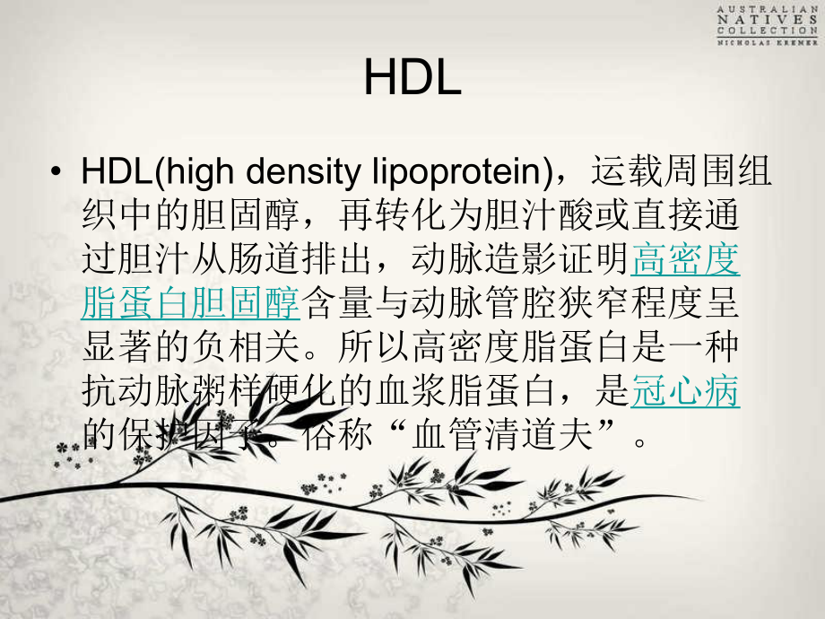 HDL和LDL胆固醇检测方法学进展和比较课件.ppt_第2页