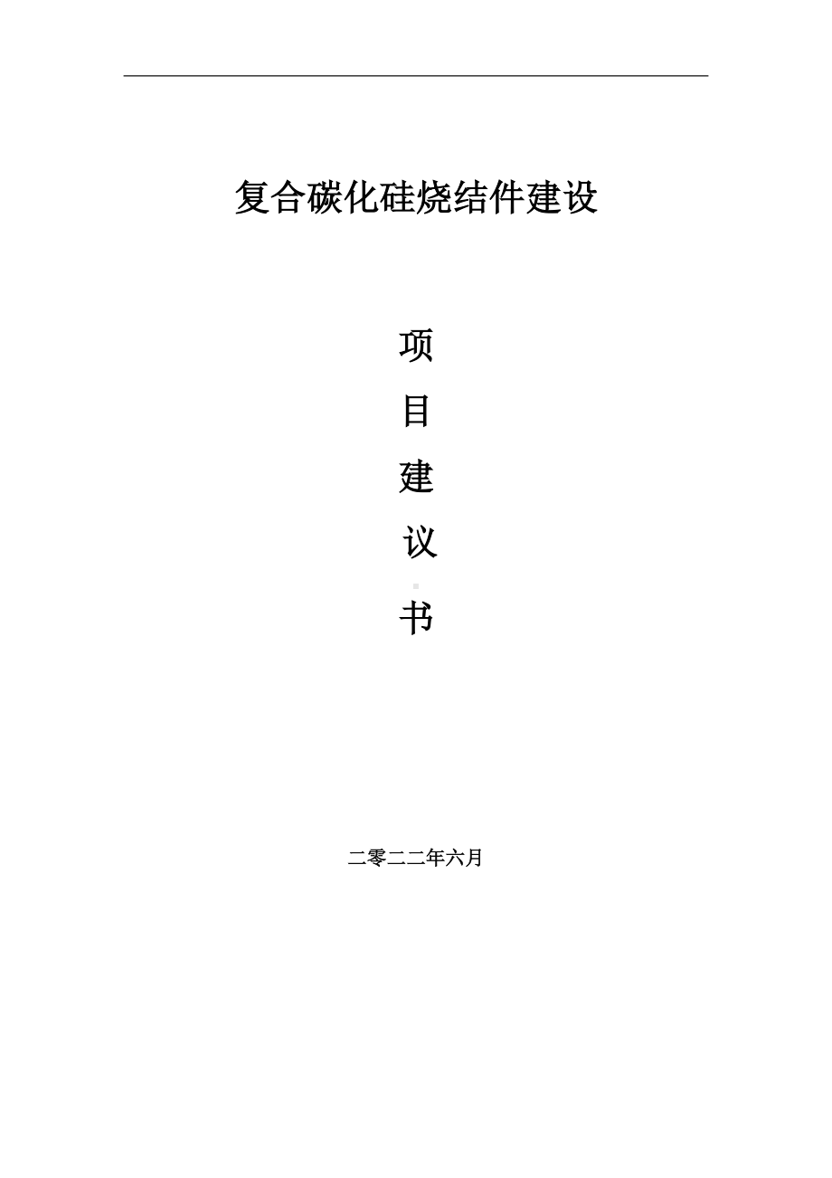 复合碳化硅烧结件项目建议书（写作模板）.doc_第1页