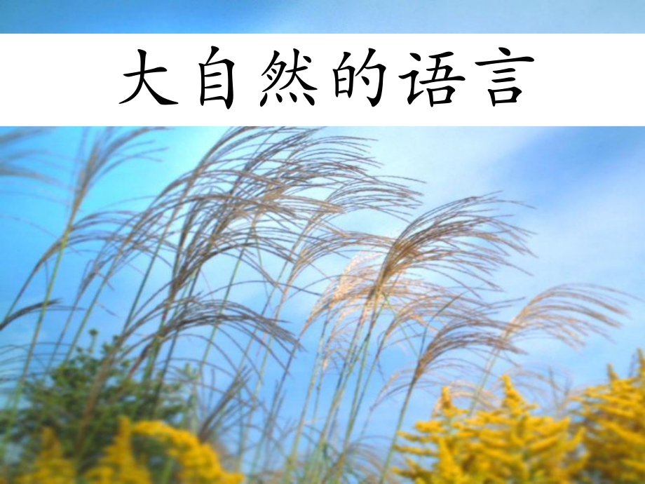 《大自然的语言》课件1-优质公开课-冀教三下.ppt_第1页