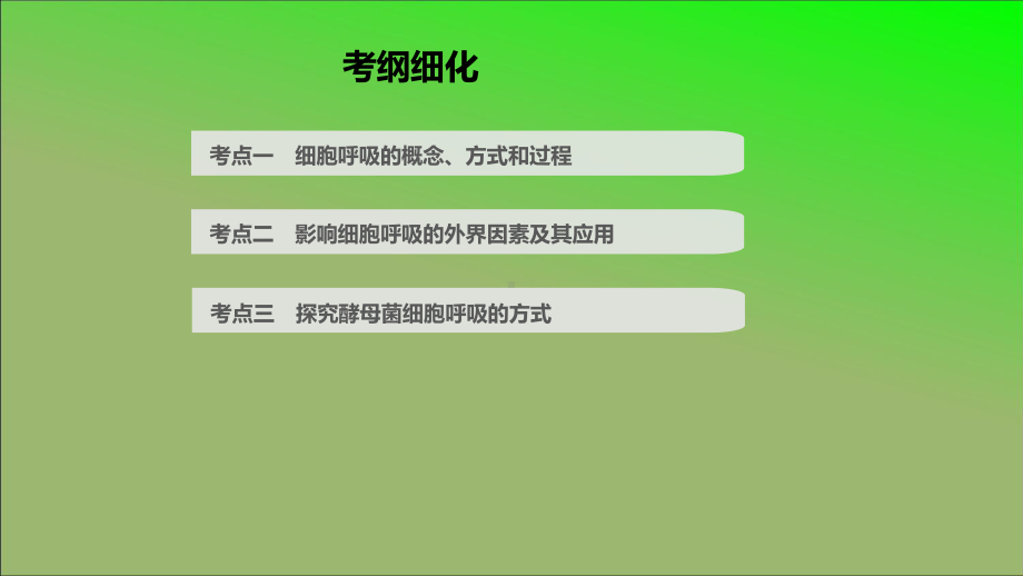 2021届全国新高考生物复习—细胞呼吸课件.pptx_第2页