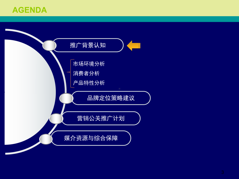 《青海春天极草品牌策略及营销公关建议方案》课件.ppt_第3页