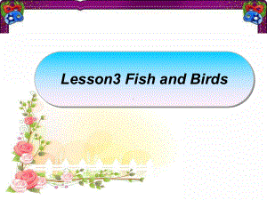 （冀教版）省优精美课件：《Lesson-3-Fish-and-Birds》课件2.ppt