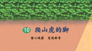 10-爬山虎的脚(第2课时)课件.pptx