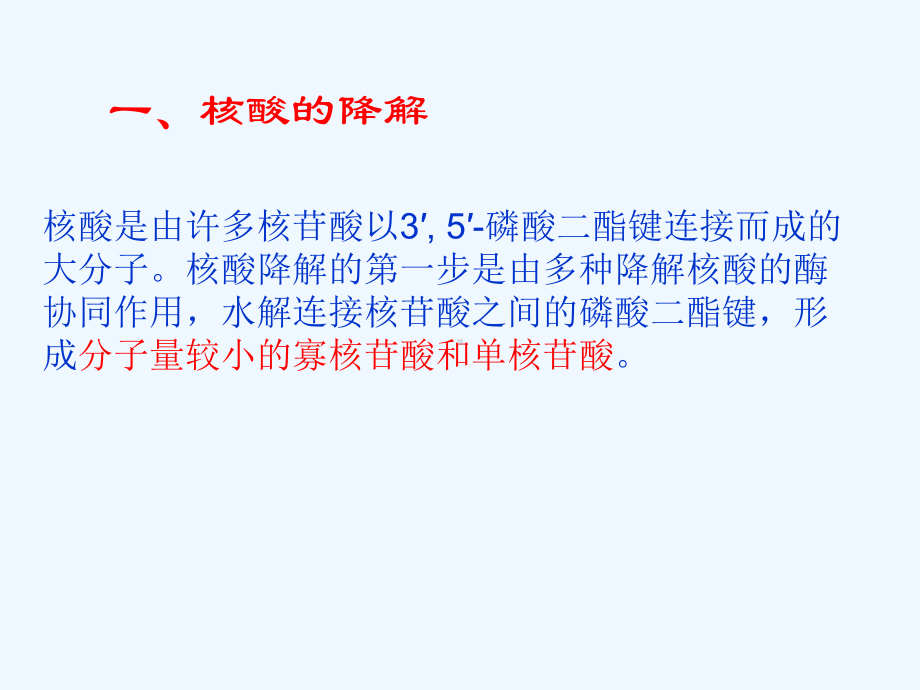 13第十三章核酸的降解与核苷酸代谢课件.ppt_第3页