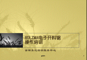 HOLZMA电子开料锯操作培训课件.ppt