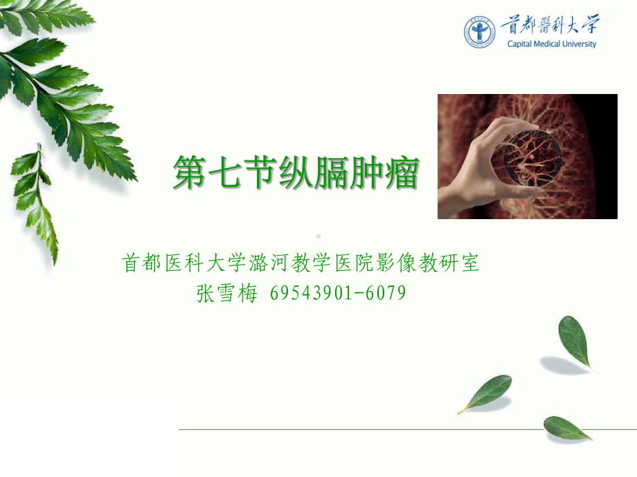 《影像诊断学》教学课件：第七节-纵膈肿瘤.ppt_第1页