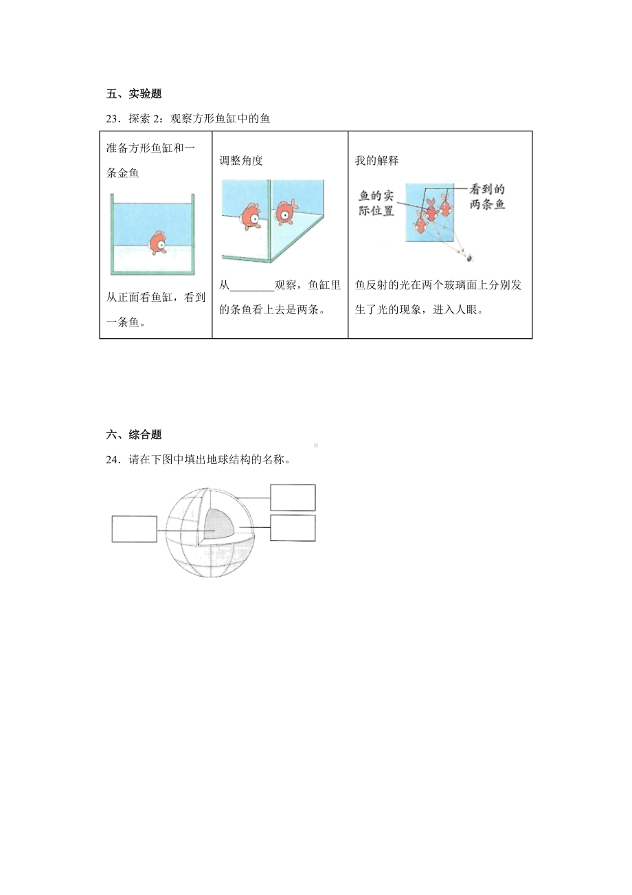 2022新教科版五年级上册《科学》综合练习（期中）.docx_第3页