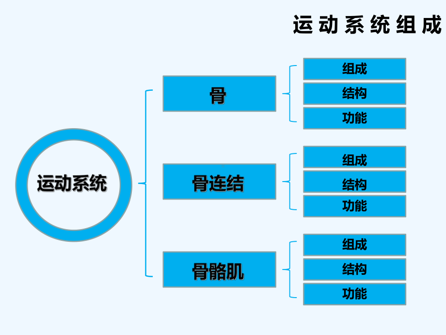 《运动系统课件》-.ppt_第3页