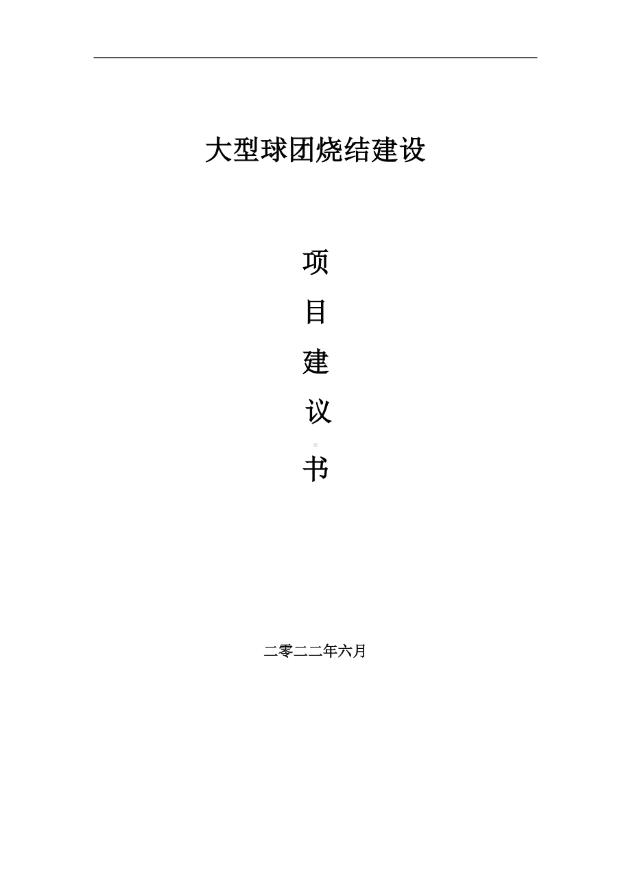 大型球团烧结项目建议书（写作模板）.doc_第1页