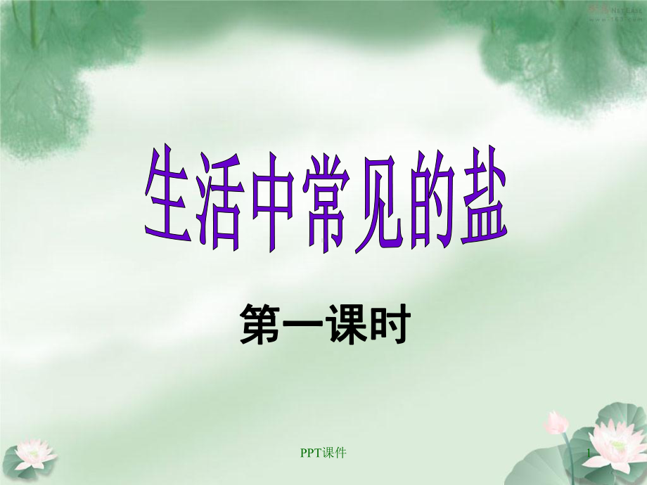 《生活中常见的盐》课件.ppt_第1页