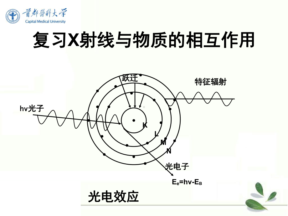 《放射物理与防护》教学课件：4第四章2：X线与物质的相互作用.ppt_第3页