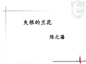 《失根的兰花》课件1-优质公开课-鲁教六下.ppt