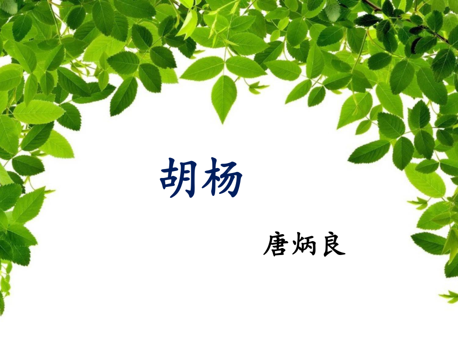 《胡杨》课件2-优质公开课-湘教六下.ppt_第1页