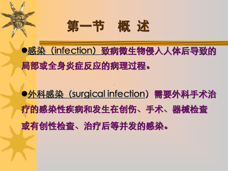 《外科护理学》课件教案10外科感染病人的护理.ppt_第3页