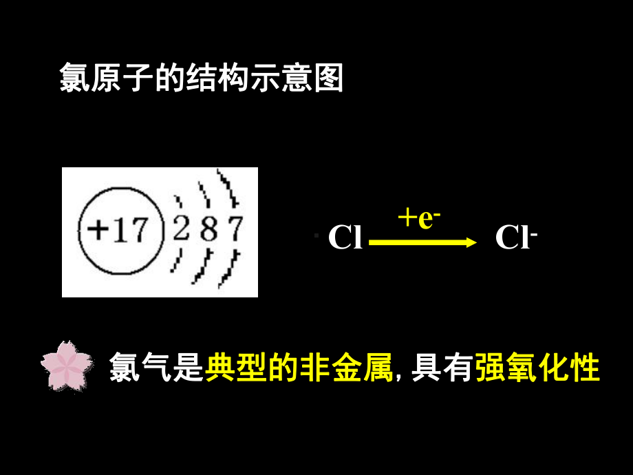 《富集在海水中的元素-氯》课件7.ppt_第2页