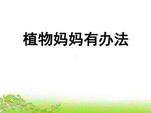 《植物妈妈有办法》课件1-优质公开课-长春版二下.ppt