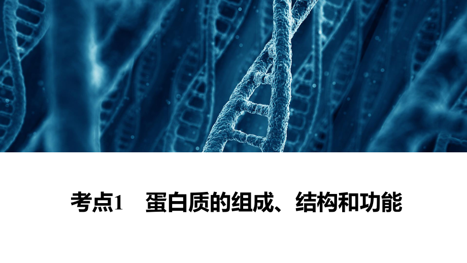 2021届全国新高考生物冲刺复习-生命活动的主要承担者-蛋白质课件.pptx_第2页