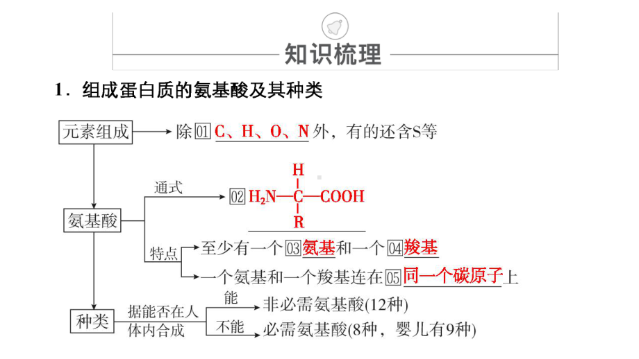 2021届全国新高考生物冲刺复习-生命活动的主要承担者-蛋白质课件.pptx_第3页