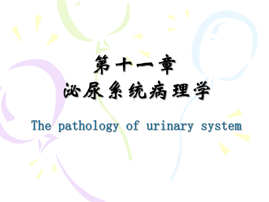 《兽医病理解剖学》课件：第11章-泌尿系统病理学.ppt_第1页