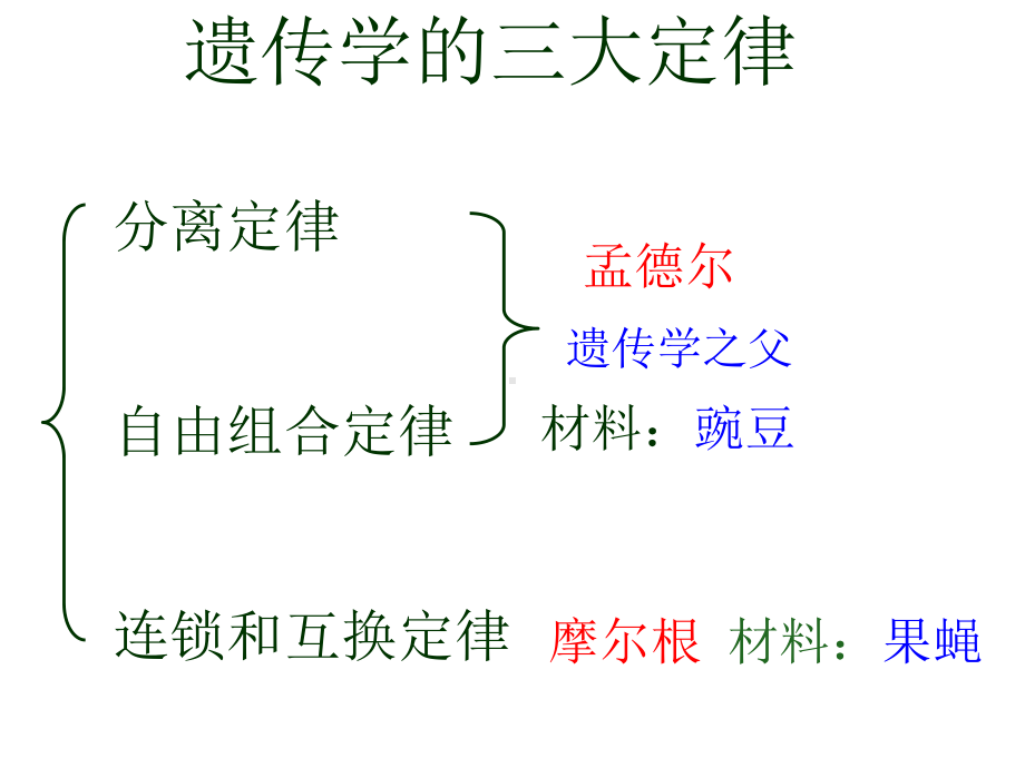 11孟德尔豌豆杂交实验1[课件].ppt_第2页