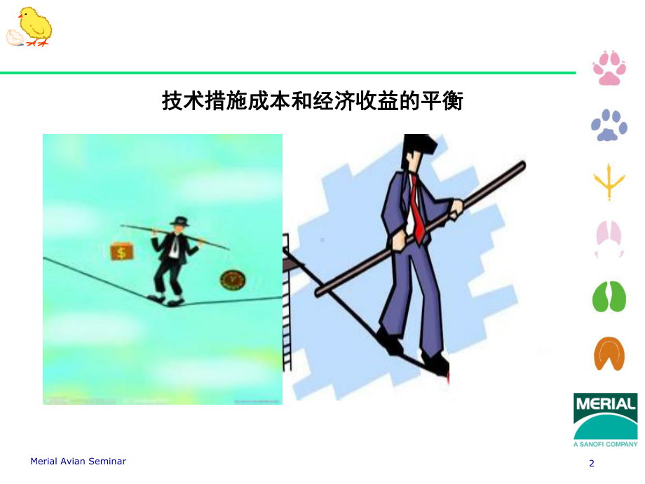 2蛋鸡呼吸系统健康管理长沙倪延利课件.ppt_第2页