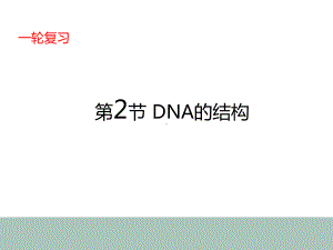 4-2高中生物一轮复习DNA的结构课件.ppt