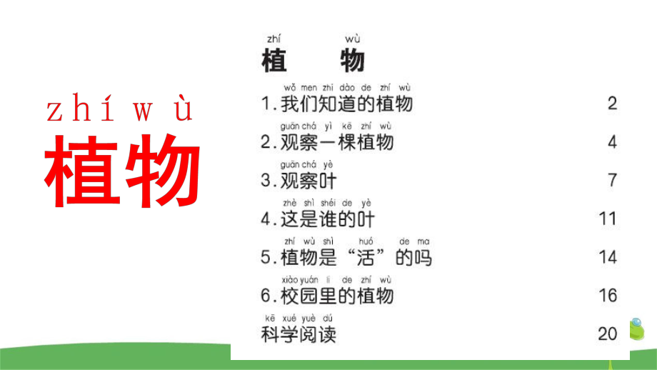 一年级上科学第一课我们知道的植物教学课件教科版.pptx_第1页