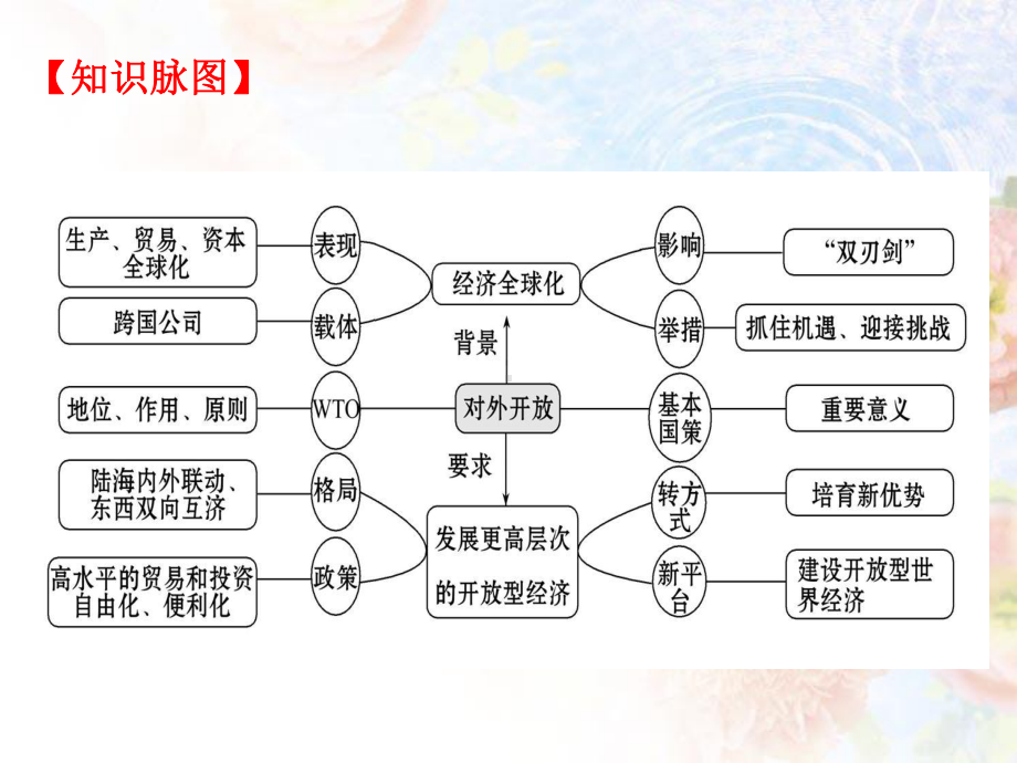 2020届高三政治第一轮复习课件：第十一课-经济全球化与对外开放.ppt_第2页