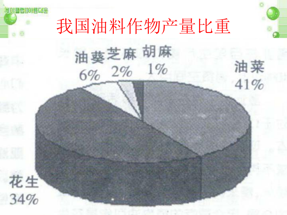 (教学培训课件）第六章第一节花生的生长发育.ppt_第2页