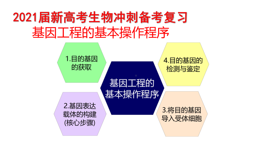 2021届新高考生物冲刺备考复习-基因工程的基本操作程序课件.pptx_第1页