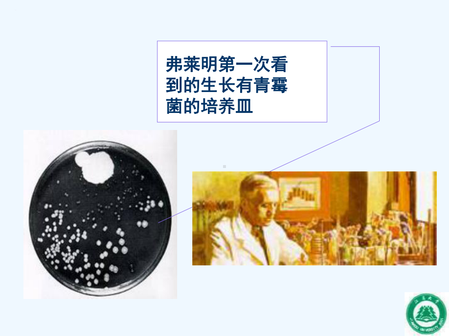 34β-内酰胺类抗生素课件.ppt_第2页