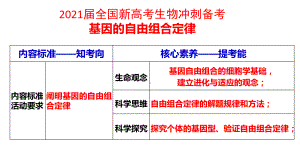 2021届全国新高考生物冲刺备考-基因的自由组合定律课件.pptx