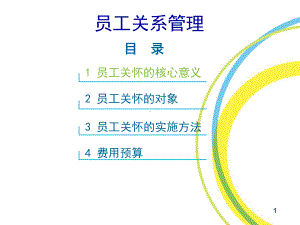 （员工关系）员工关系战略规划与管理(员工关怀方案实施办法)教学课件.ppt