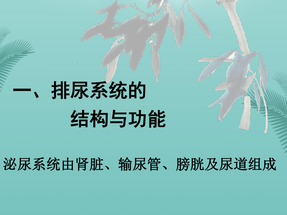 [推荐]课排尿护理课件.ppt_第2页