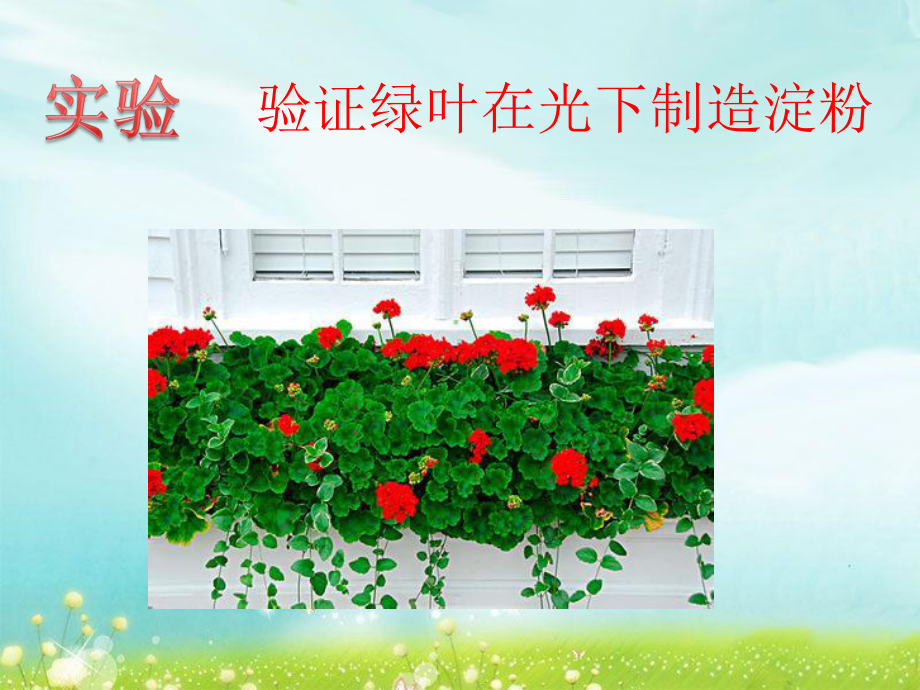 《第三节-绿色植物的光合作用》课件.ppt_第3页