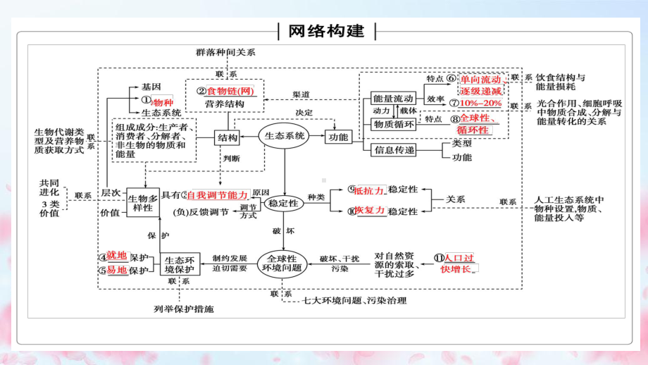 2021届全国新高考生物备考复习-生态系统与环境保护课件.pptx_第2页