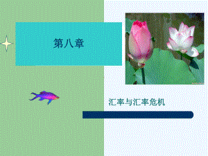 08汇率与汇率危机课件.ppt