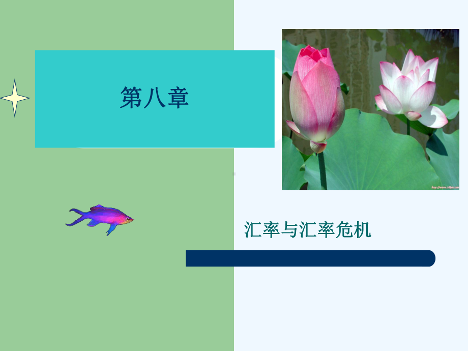 08汇率与汇率危机课件.ppt_第1页