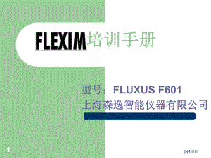 FLEXIM超声波流量计安装培训手册课件.ppt