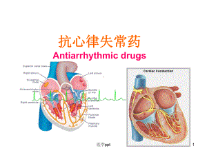 《心率失常药》课件.ppt