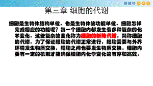 （新教材）31-ATP是细胞内的“能量通货”课件-浙科版高中生物必修1分子与细胞.pptx