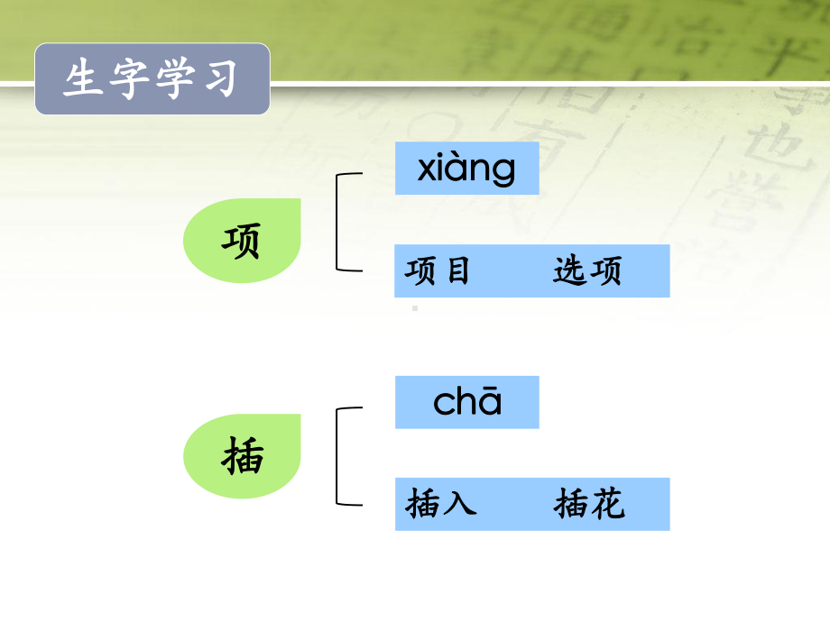 《特别的作业》课件1-优质公开课-鲁教二下.ppt_第3页