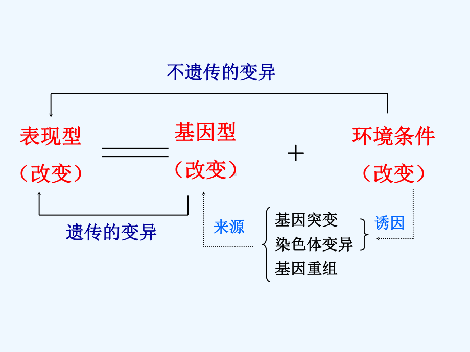 51基因突变和基因重组课件.ppt_第1页