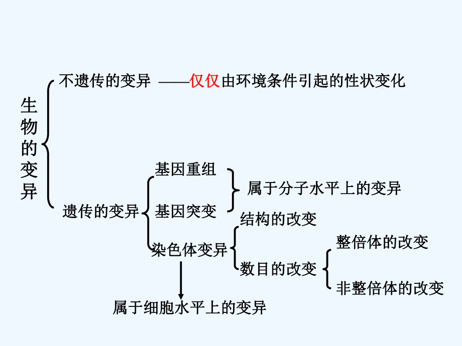 51基因突变和基因重组课件.ppt_第2页