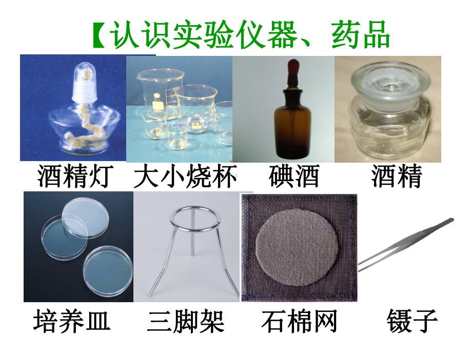 七年级上学期生物课件：351-光合作用1.ppt_第3页